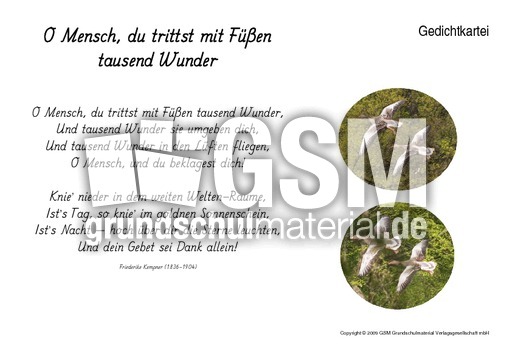 O-Mensch-Kempner.pdf